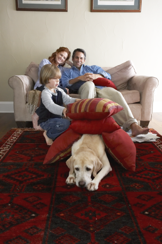 FamilyDen_150415130252_lowres